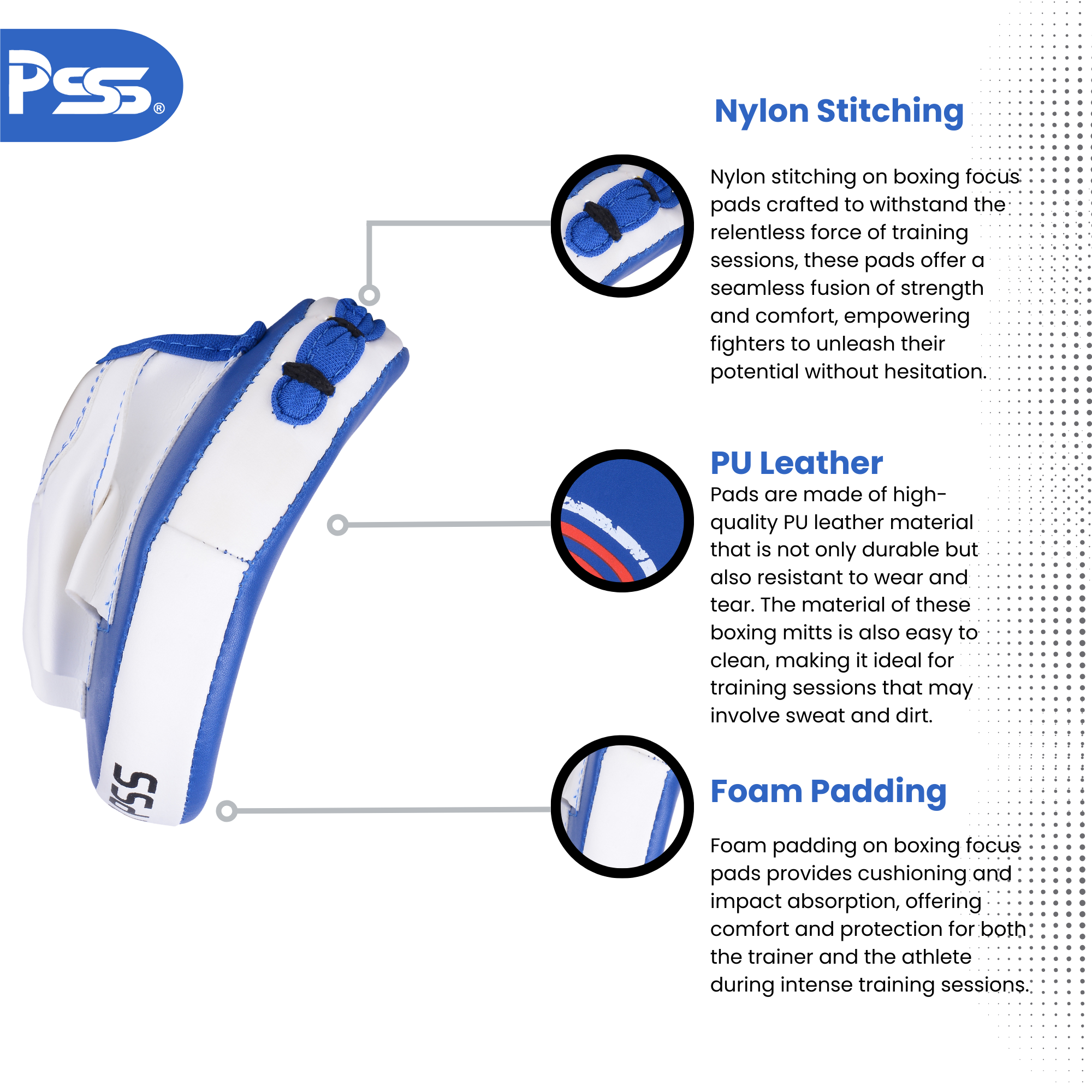 Kids Boxing Set of 2 | Boxing Glove and Focus Pad