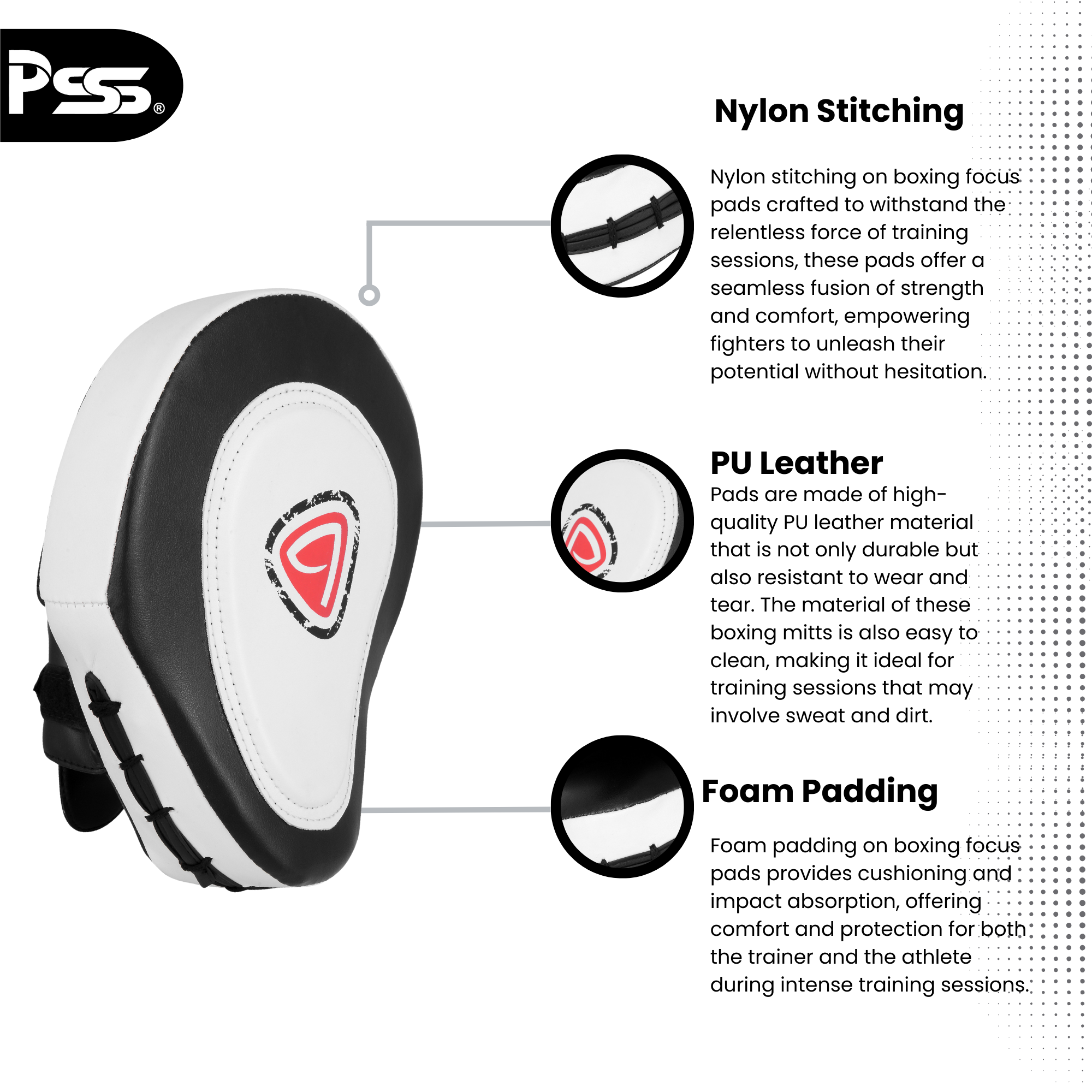 Kids Boxing Set of 2 | Boxing Glove and Focus Pad