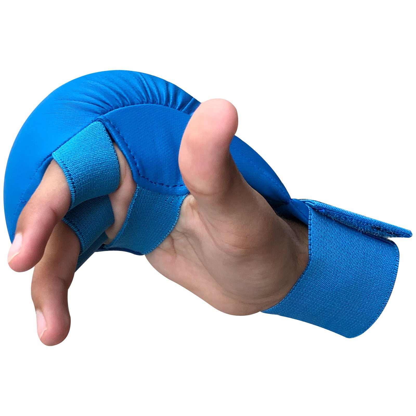 Karate Mitt Blue